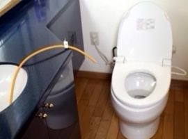 トイレの気になるニオイの例